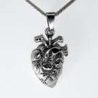 Dije Corazon Anatomico - Plata 925