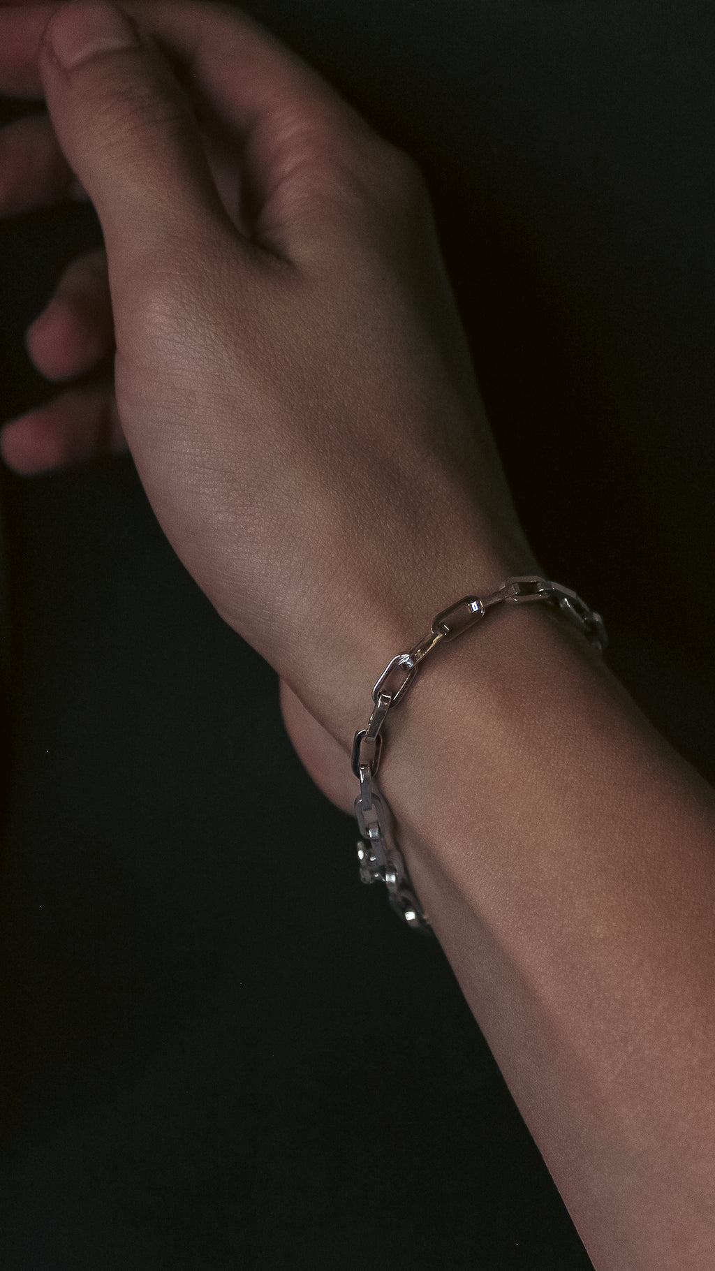 Pulsera Pitón - Plata 925