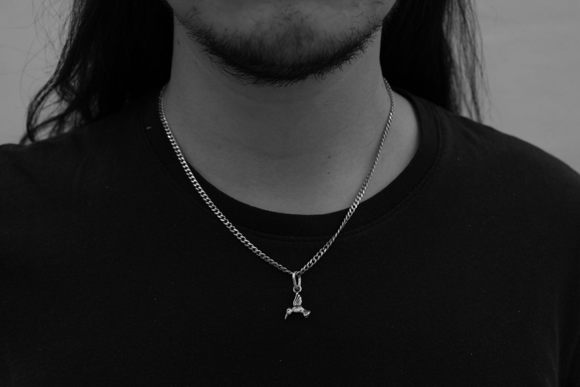 Dije Colibri -plata 925