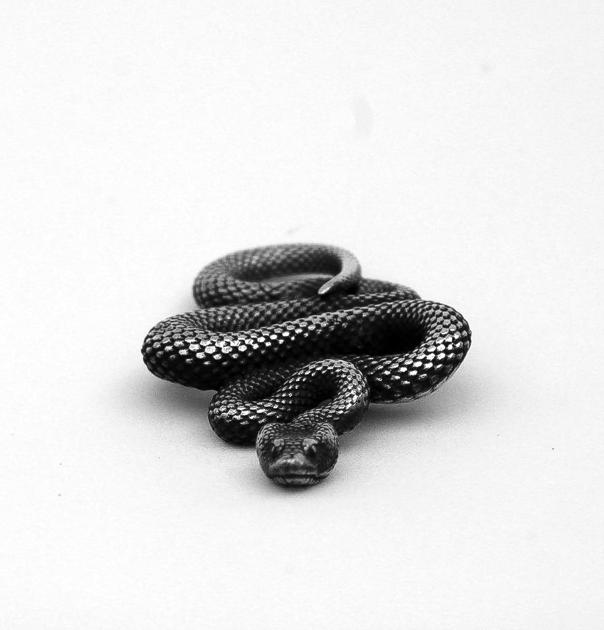 Dije Serpiente Protectora - Plata 925