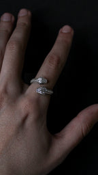 Anillo Serpiente Guardiana - Plata 925