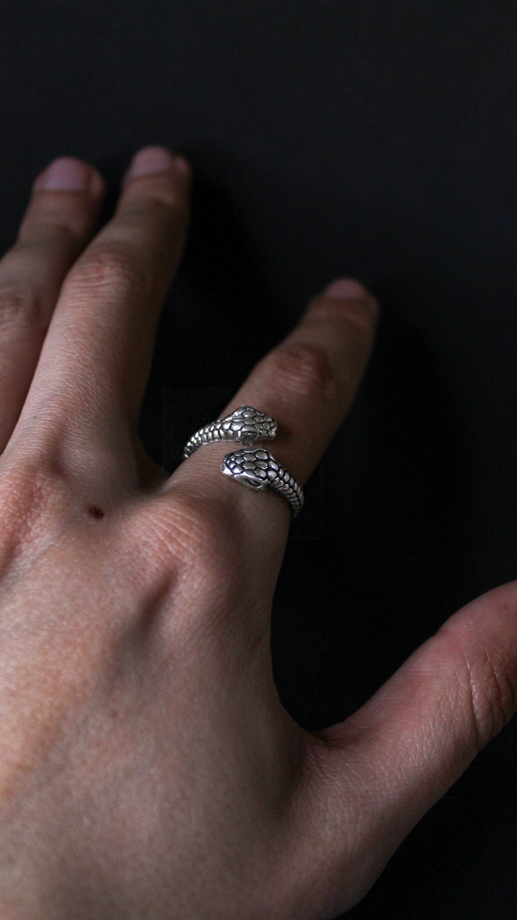 Anillo Serpiente Guardiana - Plata 925