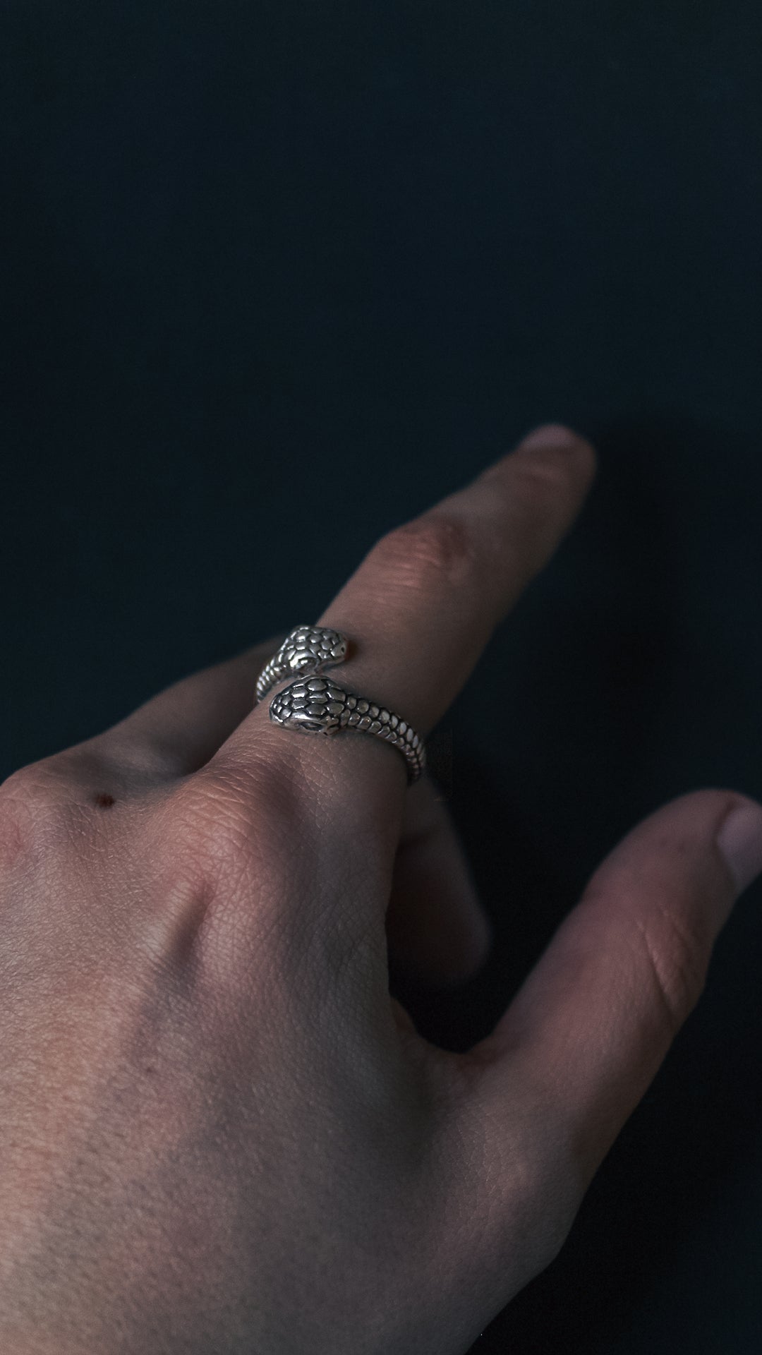 Anillo Serpiente Guardiana - Plata 925