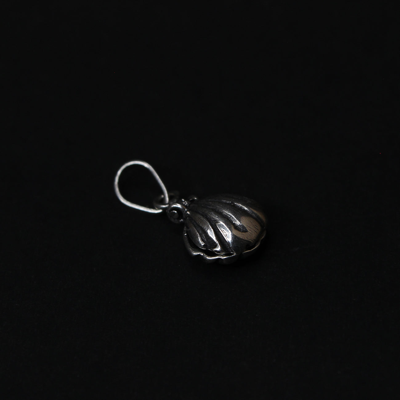 Dije Concha del Mar - Plata 925