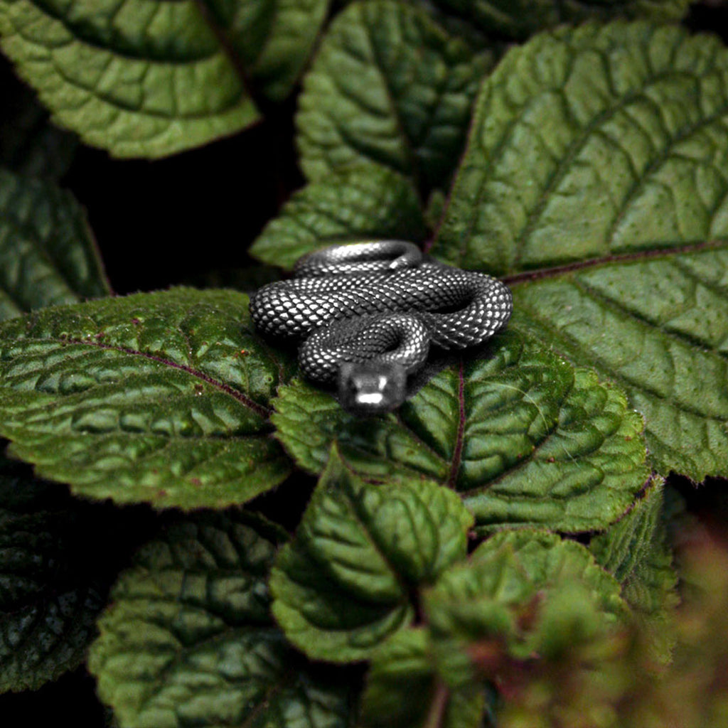 Dije Serpiente Protectora - Plata 925